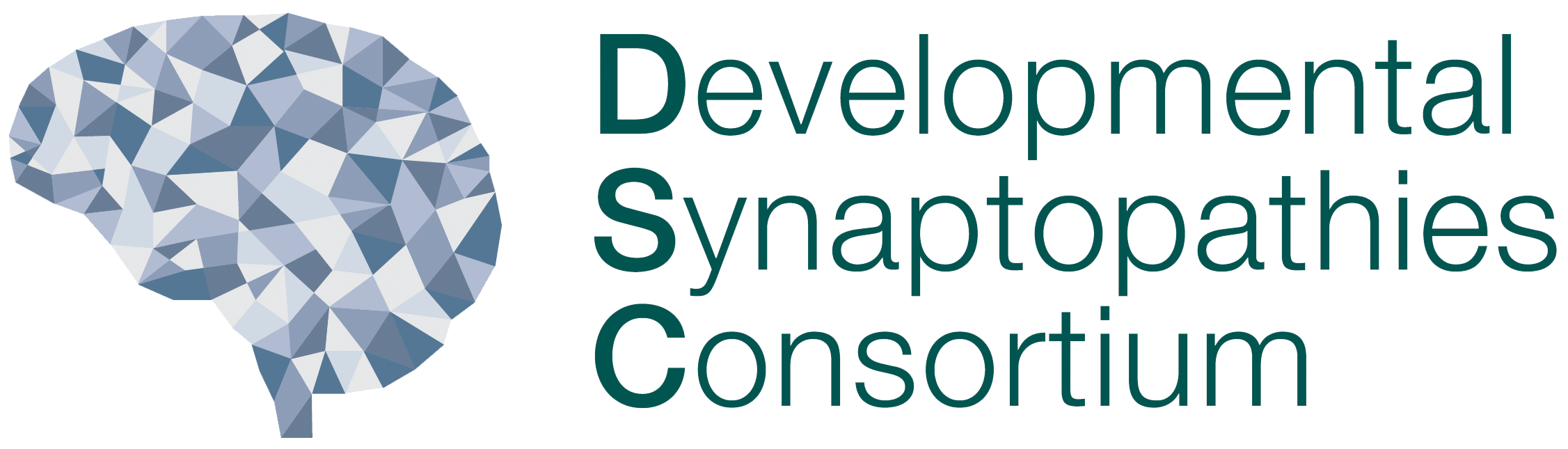 DSC-Logo DSC Logo