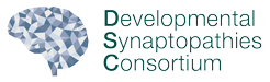 Developmental Synaptopathies Consortium logo